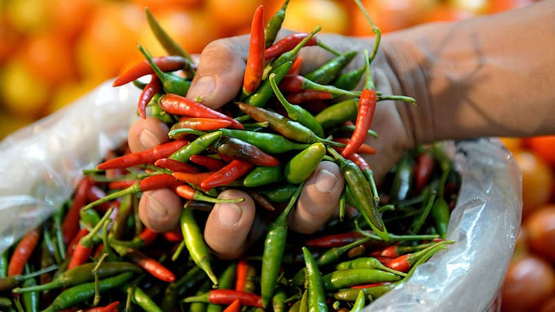 Quel lien y a-t-il entre aimer des plats épicés et avoir un niveau élevé de testostérone?