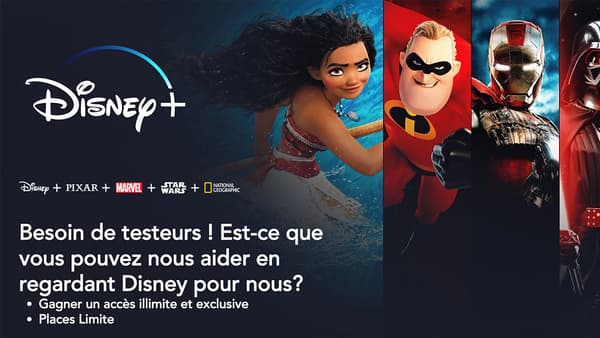 Capture d'écran du site internet frauduleux Capture d'écran du site internet frauduleux
