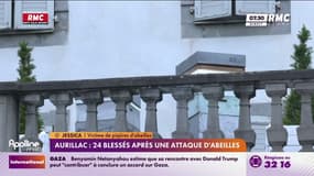 Attaque d’abeilles à Aurillac: 24 blessés, 3 en urgence absolue