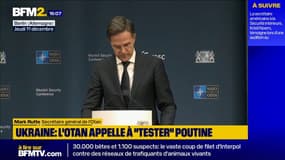 Menace russe: "Nous devons nous préparer à une guerre d'une ampleur comparable à celle qu'ont endurée nos grands-parents et arrière-grands-parents" (Rutte)