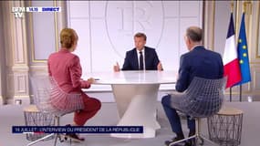 Convention citoyenne sur le climat : Emmanuel Macron "favorable" à une réforme constitutionnelle