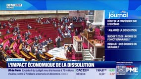 L'impact économique de la dissolution