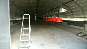 Pour lutter contre la grippe aviaire, le vide sanitaire a démarré dans le Sud-Ouest.