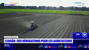 Des dérogations mises en place pour les agriculteurs après la tempête Ciarán