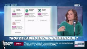 Trop de labels écolos, mais tous ne se valent pas. Marie Dupin vous dévoile le nouveau site de l’@ademe pour faire le tri quand on fait ses courses