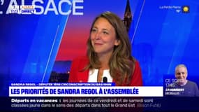 "Le changement climatique est une priorité" pour Sandra Regol, députée du Bas-Rhin
