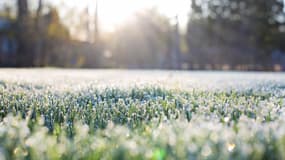 Ce mercredi matin, il a fait -0,4°C dans un village de Franche-Comté.