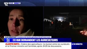 Mobilisation des agriculteurs: "On ne veut pas attaquer Rungis parce que certains de nos agriculteurs travaillent avec", indique Alix Heurtaut ("Jeunes Agriculteurs" Île-de-France)