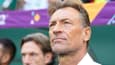 Hervé Renard, sélectionneur de l'Arabie Saoudite