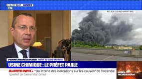 Incendie dans une usine à Rouen: le préfet n'exclut pas "un risque de pollution de la Seine" et des "retombées de suie"