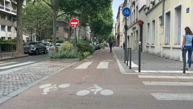 Une piste cyclable à Lyon.
