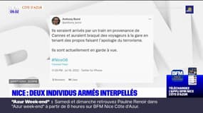 Nice: deux individus armés interpellés