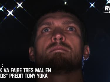 Boxe: "Usyk va faire très mal chez les Lourds" prédit Yoka