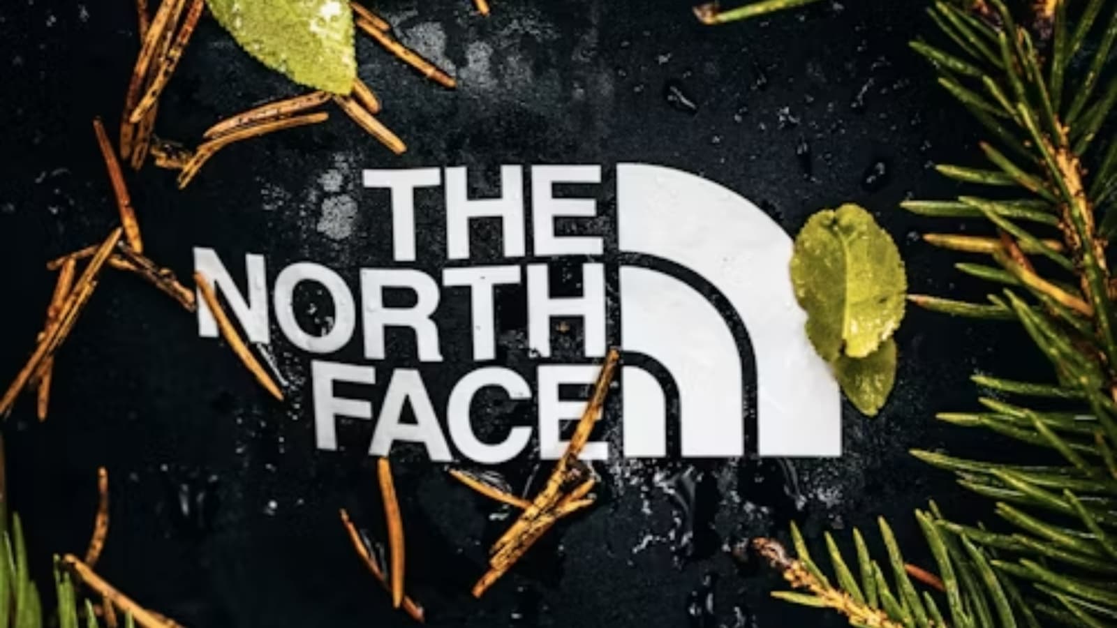 Voici une veste The North Face parfaite pour l'arrivée de l'hiver (prix