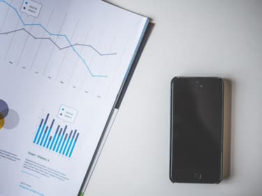 Nombre de fintechs et de néo-banques n'ont pas de véritable business model.