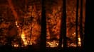 Les différents incendies en Bretagne ont parcouru en tout 75 hectares, samedi 6 août 2022