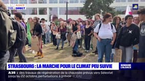 Strasbourg: une mobilisation plus faible que prévue à la marche pour climat 
