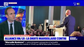 Alliance RN/LR: Ludovic Perney, vice-président LR de la région Provence-Alpes-Côte d'Azur, dénonce une décision "indigne"