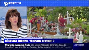 Héritage Johnny : vers un accord ? - 07/11