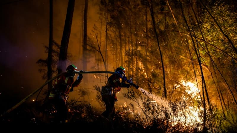 Incendie dans le Gard: le feu est 