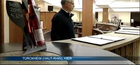 2015 devrait être un bon millésime pour le vin