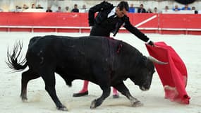 Le matador espagnol Jose Marie Manzanares lors d'une corrida à Nîmes le 20 septembre. 