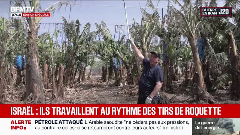 Guerre au Moyen-Orient: les agriculteurs sous le feu du Hezbollah