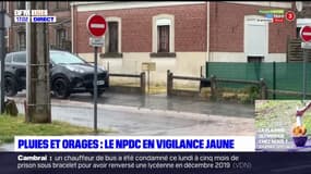 Nord-Pas-de-Calais: les départements en vigilance jaune pluies et orages