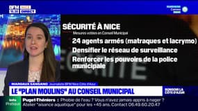 Nice: le "plan moulins" validé ce vendredi au conseil municipal
