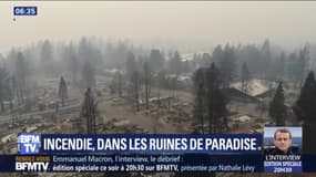 Après le passage de l'incendie "Camp Fire", il ne reste plus rien de la ville de Paradise