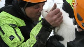 Un des chiots retrouvés par les pompiers le 23 janvier 2017