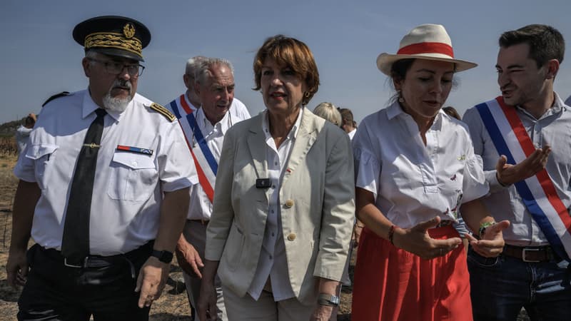Incendie dans l'Aude: le gouvernement débloque un fonds d'urgence de 8 millions d'euros aux agriculteurs