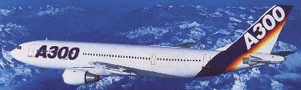 Un Airbus A-300 similaire à celui qui a été abattu en 1988. Un Airbus A-300 similaire à celui qui a été abattu en 1988.