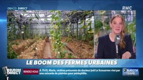 Objectif Terre : Les boom des fermes urbaines - 12/09