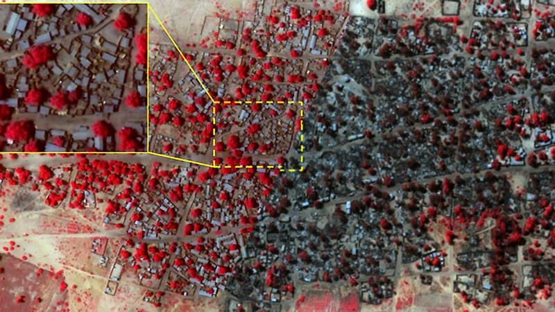A gauche, une photo prise le 2 janvier, avant l'attaque. A droite, une photo prise le 7 janvier, après l'attaque. En rouge, la végétation.