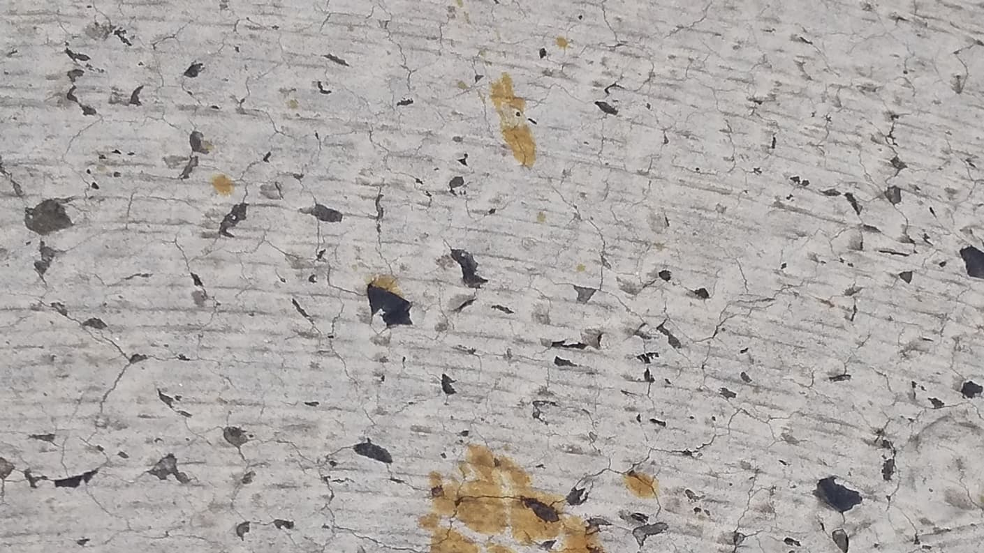 Cette photo prise et diffusée par Nomura Plating le 12 mars 2024 montre des empreintes de pas que l'on pense être celles d'un chat tombé dans une cuve contenant du chrome hexavalent toxique à l'usine de placage de Fukuyama.