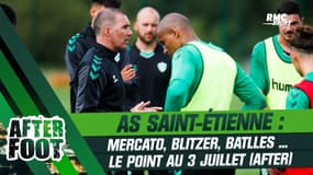ASSE : les dernières infos sur une vente... loin d'être bouclée