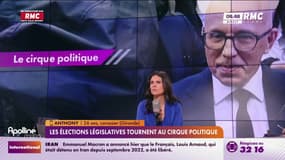 Élections législatives : "J'ai l'impression que c'est une téléréalité ce qui se passe", témoigne Anthony, dépité