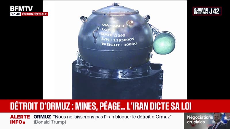 Détroit d'Ormuz: mines, péage... L'Iran dicte sa loi