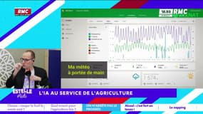 On n'arrête pas le progrès : L’IA au service de l’agriculture - 24/02