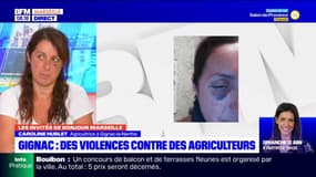 Gignac-la-Nerthe: des agriculteurs témoignent des violences dont ils sont victimes