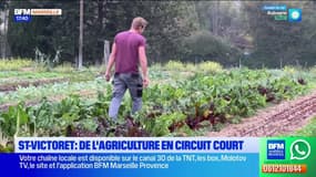 Saint-Victoret: des agriculteurs exploitent un terrain en friche depuis 30 ans