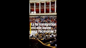 La loi immigration est-elle bonne pour l'économie ?