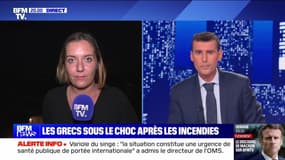 Les Grecs sous le choc après les incendies - 14/08