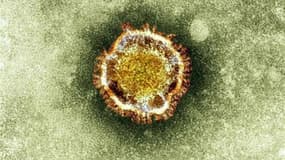 L'Arabie saoudite a annoncé lundi soir quatre nouveaux cas de contamination au nouveau coronavirus