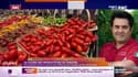 La colère des producteurs de tomates 