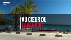 Au Cœur du Lavandou