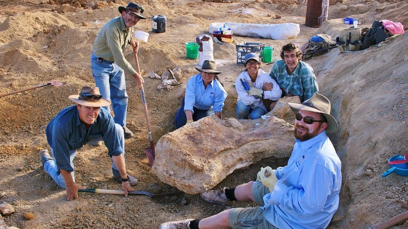 Les fossiles de dinosaure découverts dans le bassin d'Eromanga en 2006 (photo d'illustration)