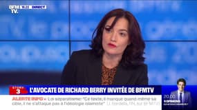 Richard Berry "conteste absolument des faits d'inceste", selon son avocate