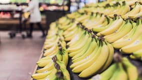 Des bananes sur un étal